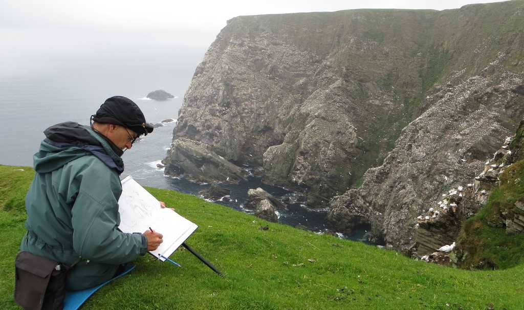 sketching gannets at Hermaness, Shetland